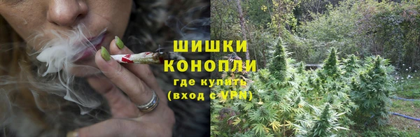 сатива Балахна